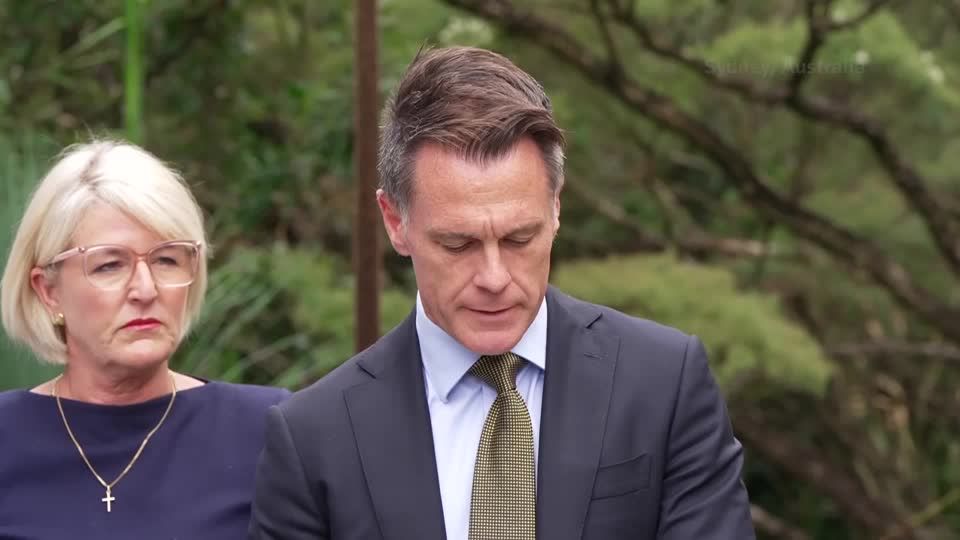 Australian state premier pushes for stricter gun laws | Reuters