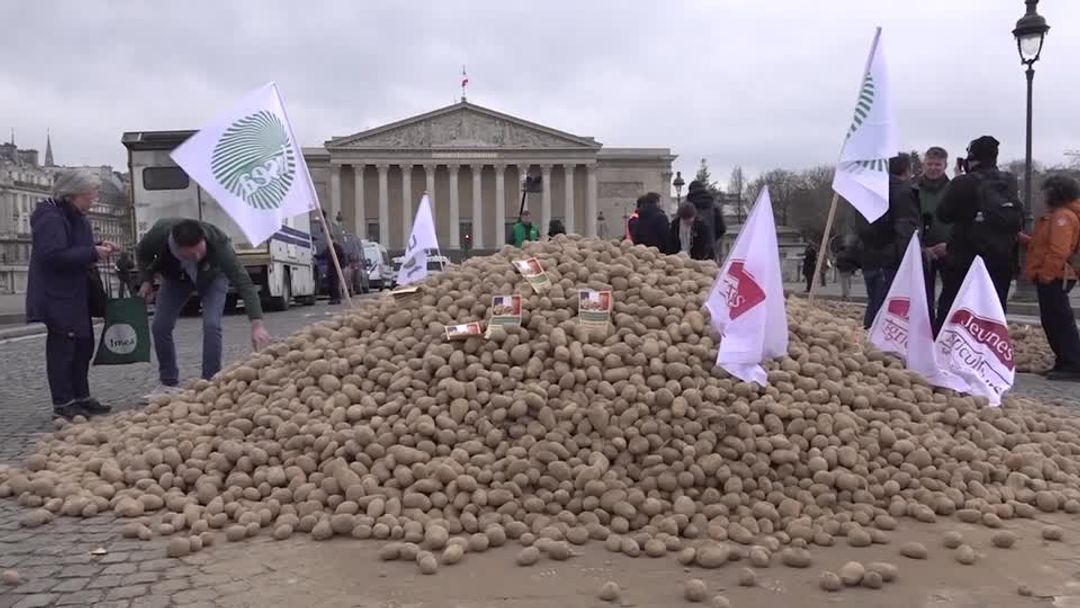 French farmers stage new Paris protest in effort to halt Mercosur deal ...