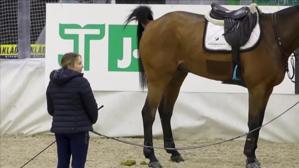 Turning horse dung into cellulose-based alternative to plastic packaging