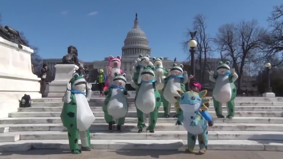 Frog-suited activists leap into action before Trump’s address | Reuters