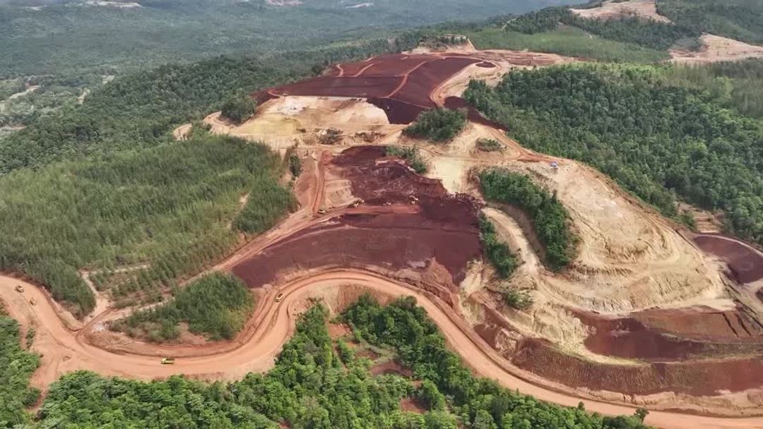 Indonesian forest loss surges by 66% in 2025, driven by Prabowo's self ...