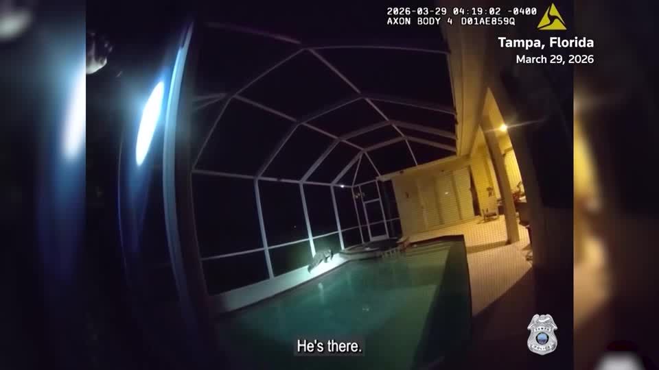 Bodycam shows Florida police officer pulling alligator from pool | Reuters