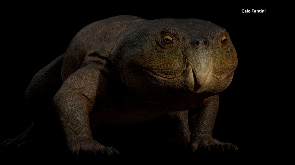 ブラジル南部で発見された化石、新種の古代爬虫類と特定