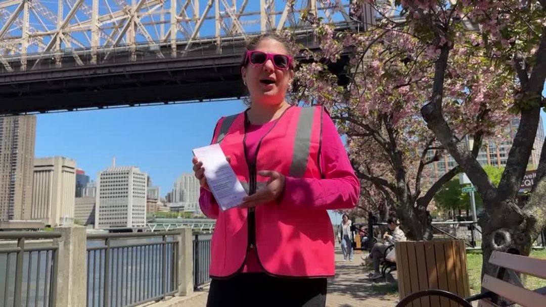 Roosevelt Island volunteer patrols cherry blossoms during spring bloom ...