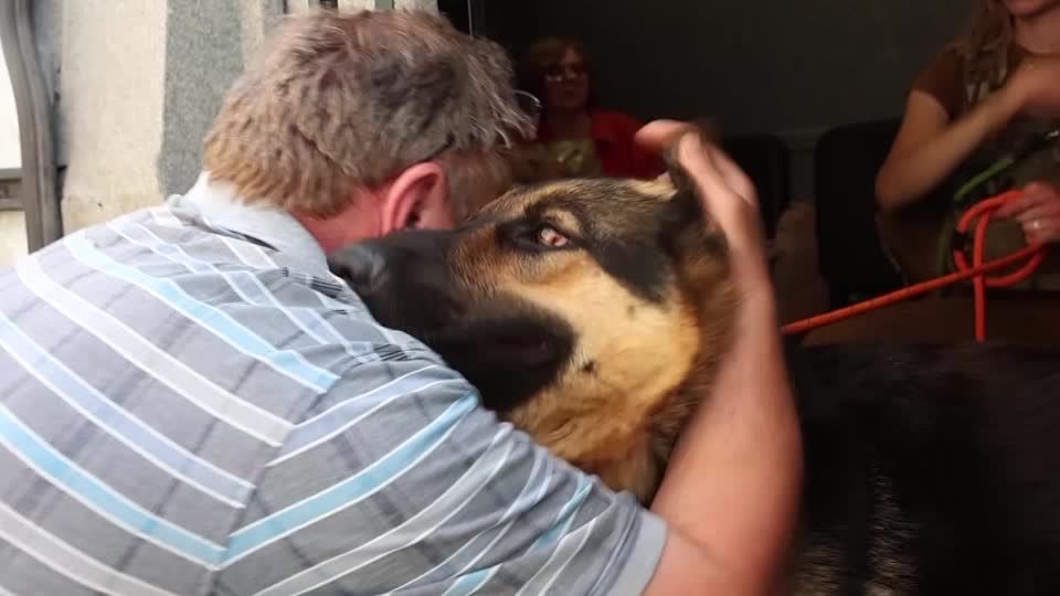 Ukrainian in tears as he's forced to flee without his pets