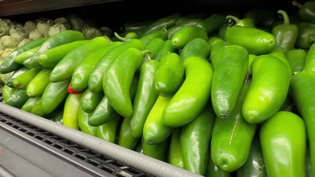 U.S. Health Officials Investigate Salmonella Outbreak Linked to Jalapeno Peppers