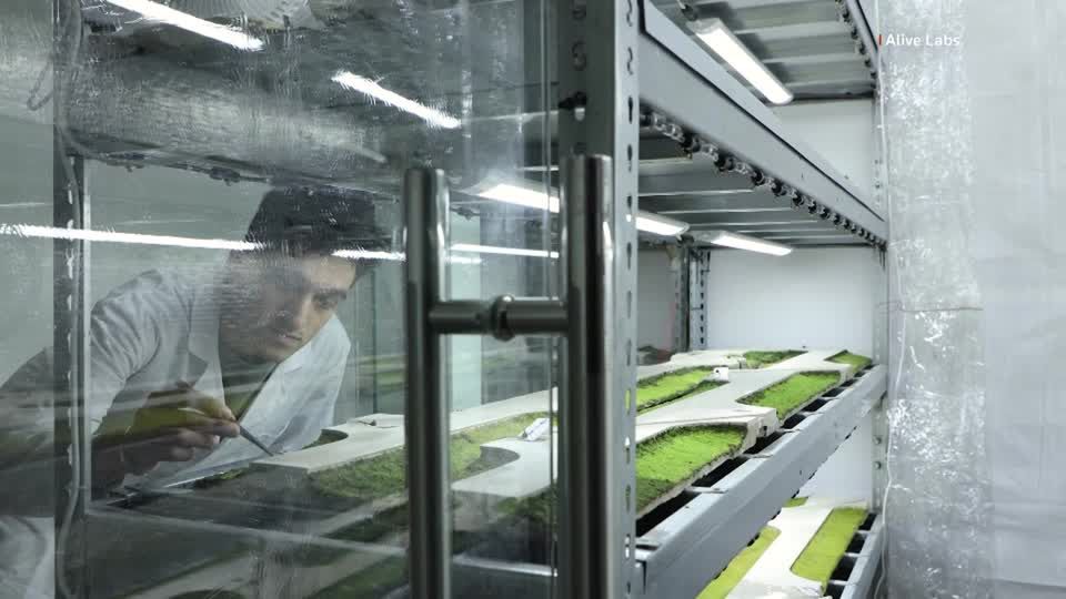 Moss-covered panels could offer air-cleaning cladding for city walls <https://t.co/Gj20A5nP9a> 
 [↧](https://t.co/Gj20A5nP9a)