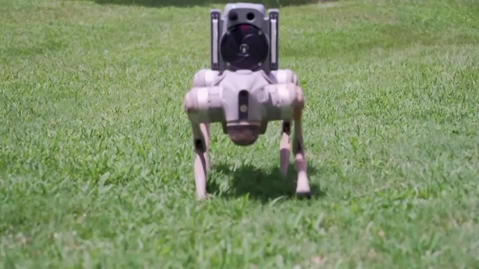 Robot dogs are replacing security guards in Atlanta
