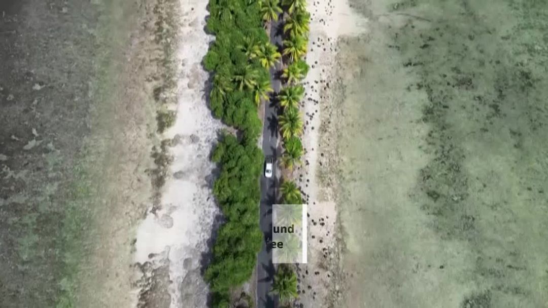 Environment
