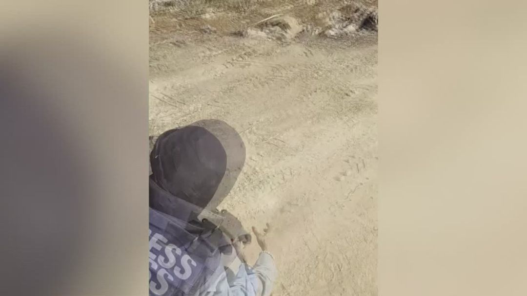 Israeli settlers burn olive trees, injure journalist in West Bank ...