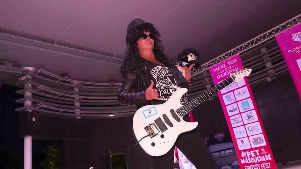 Dogs dressed as music icons take over Key West's annual Pet Masquerade ...