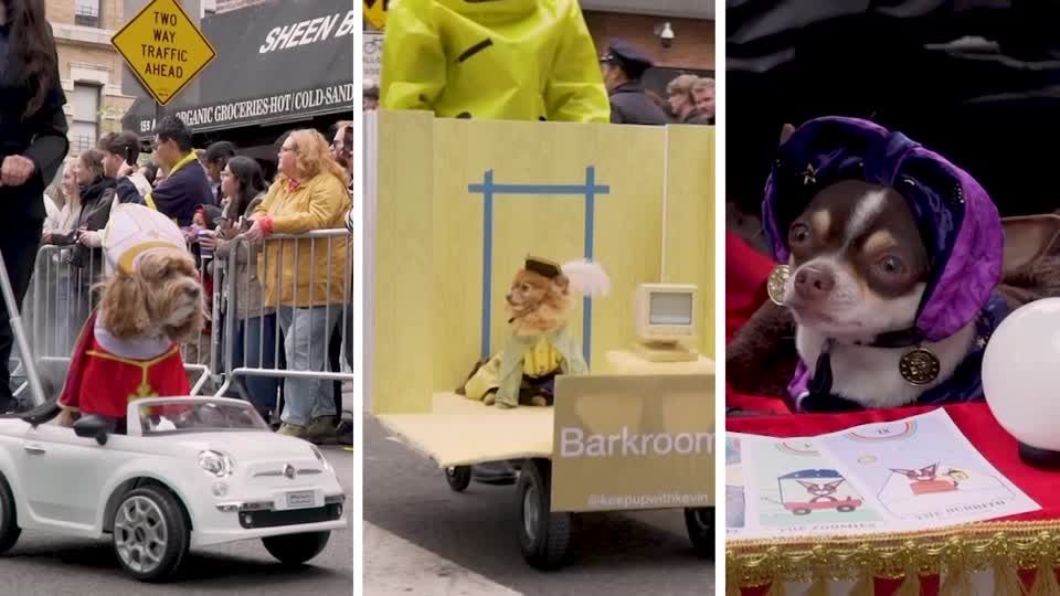 Howl-o-ween spirit takes over New York at Tompkins Square dog parade ...