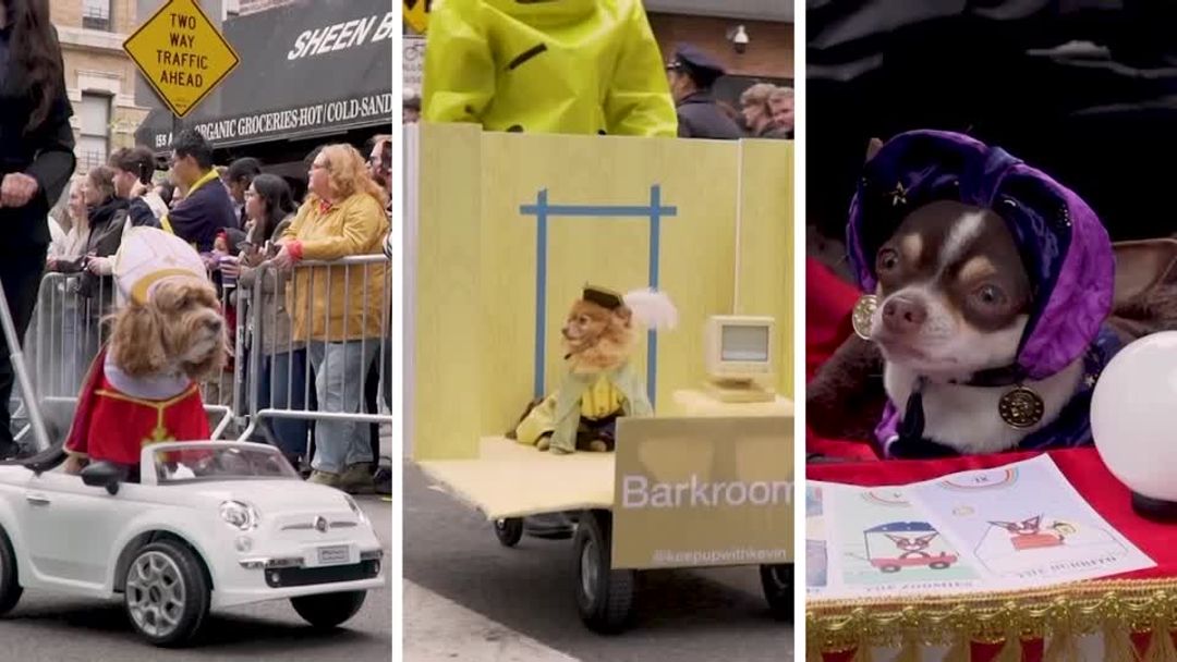 Howl-o-ween spirit takes over New York at Tompkins Square dog parade ...